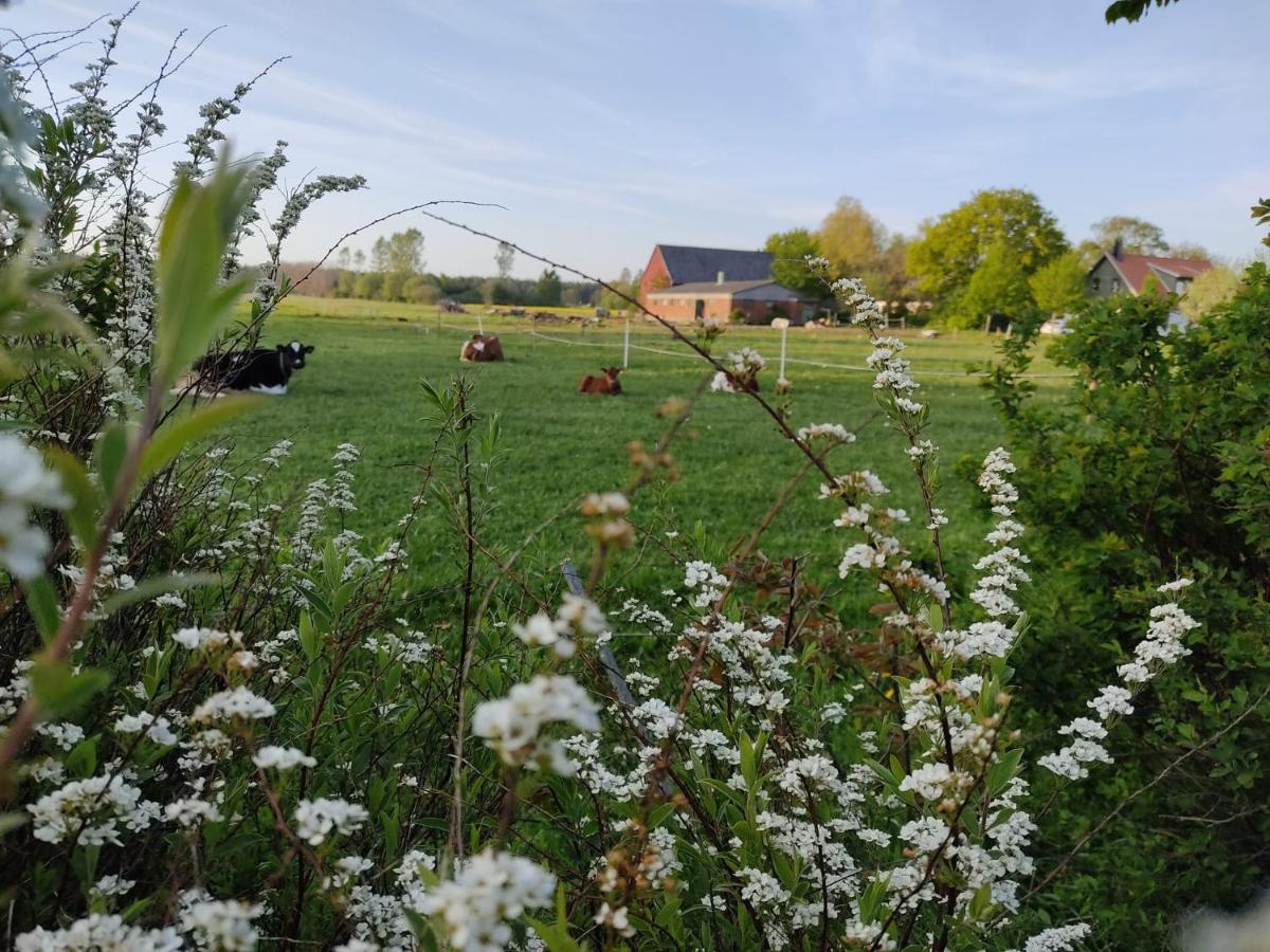 Cosyplace; Close To Beach, Nature, Train, Grocery Kopingebro Eksteriør bilde